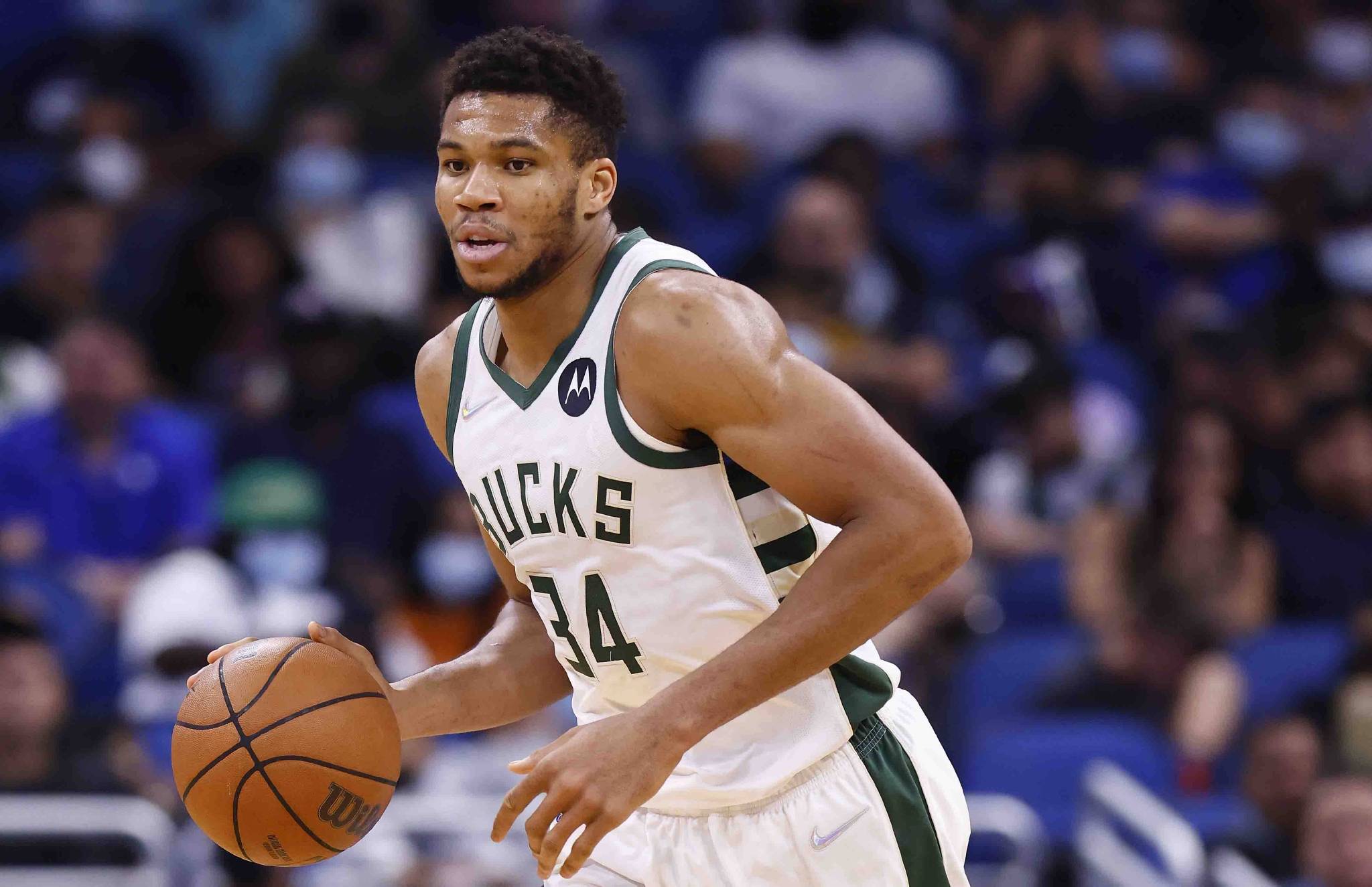 雄鹿NBA西部一哥,因瑟芬科罩杯效应不断扩展 雄鹿NBA西部一哥,因瑟芬科罩杯效应不断扩展